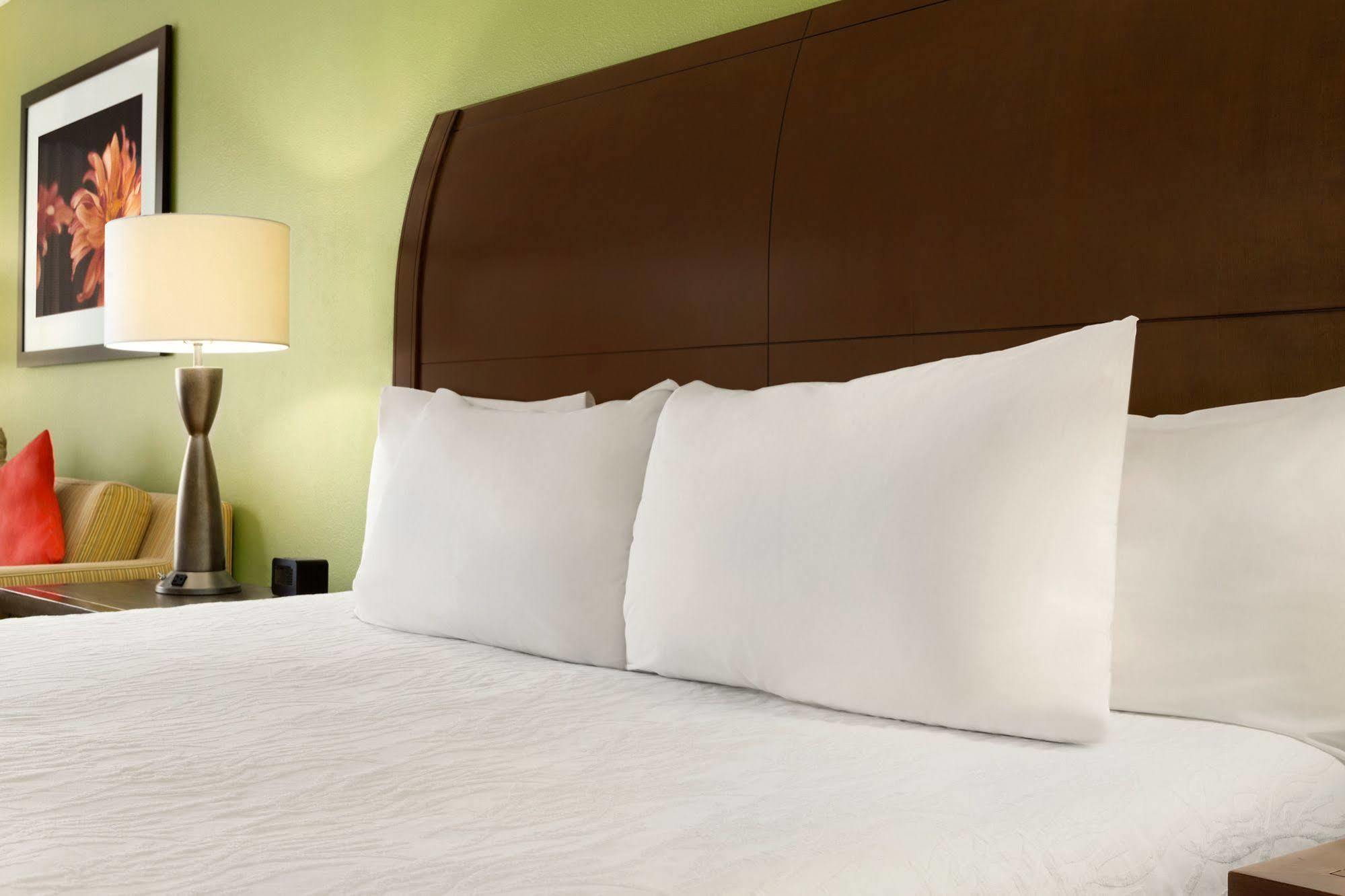Hilton Garden Inn Atlanta Perimeter Center Dunwoody Exterior photo